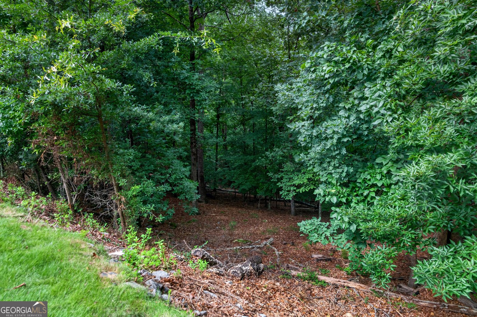 1213 Edenham Lane Cumming - Photo 71