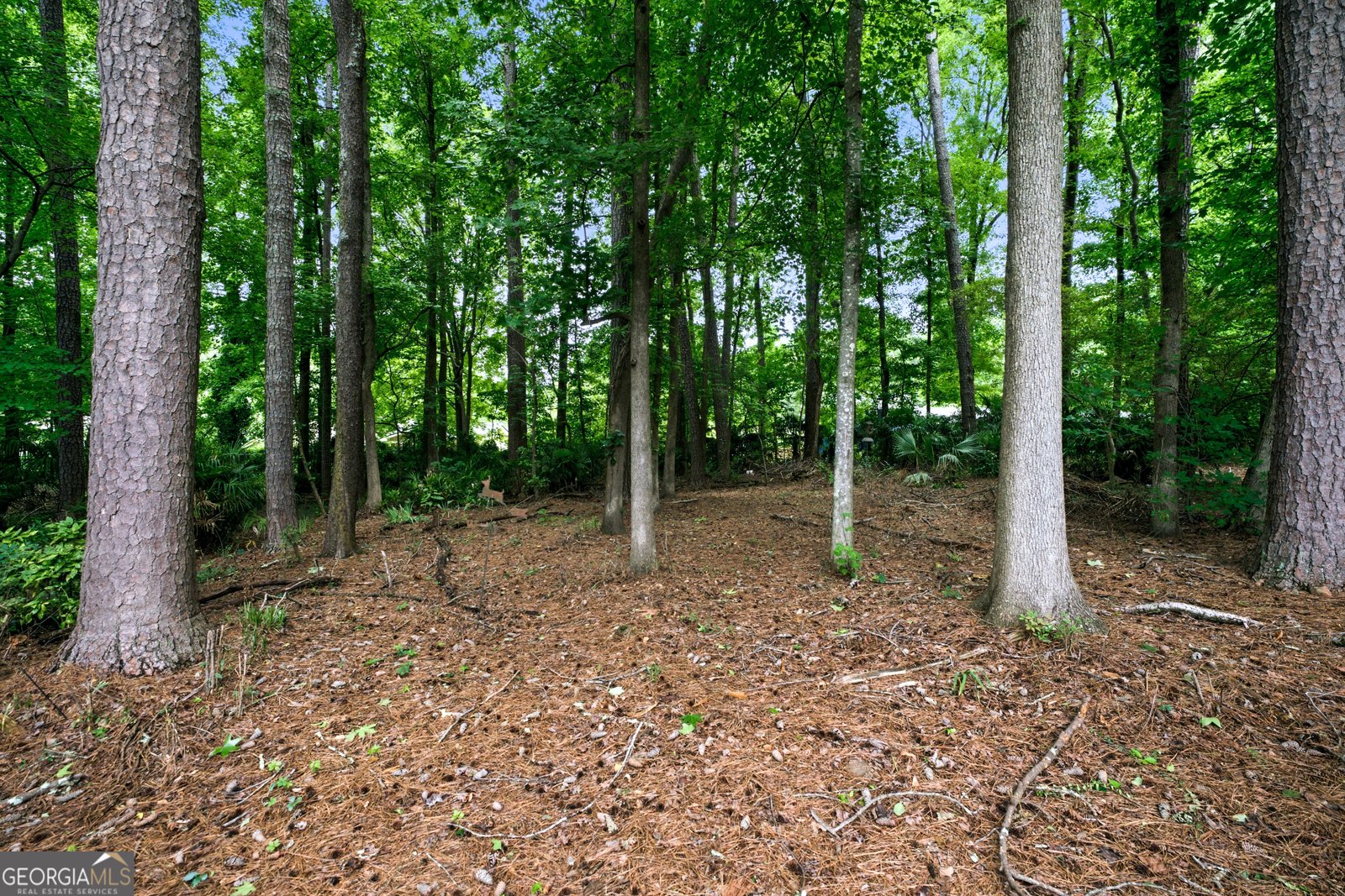 2563 Alberta Lane Marietta - Photo 20