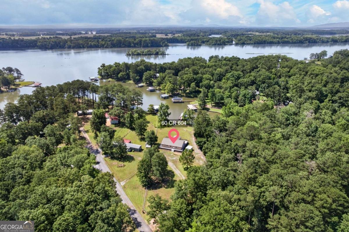60 County Road 604 Cedar Bluff - Photo 33