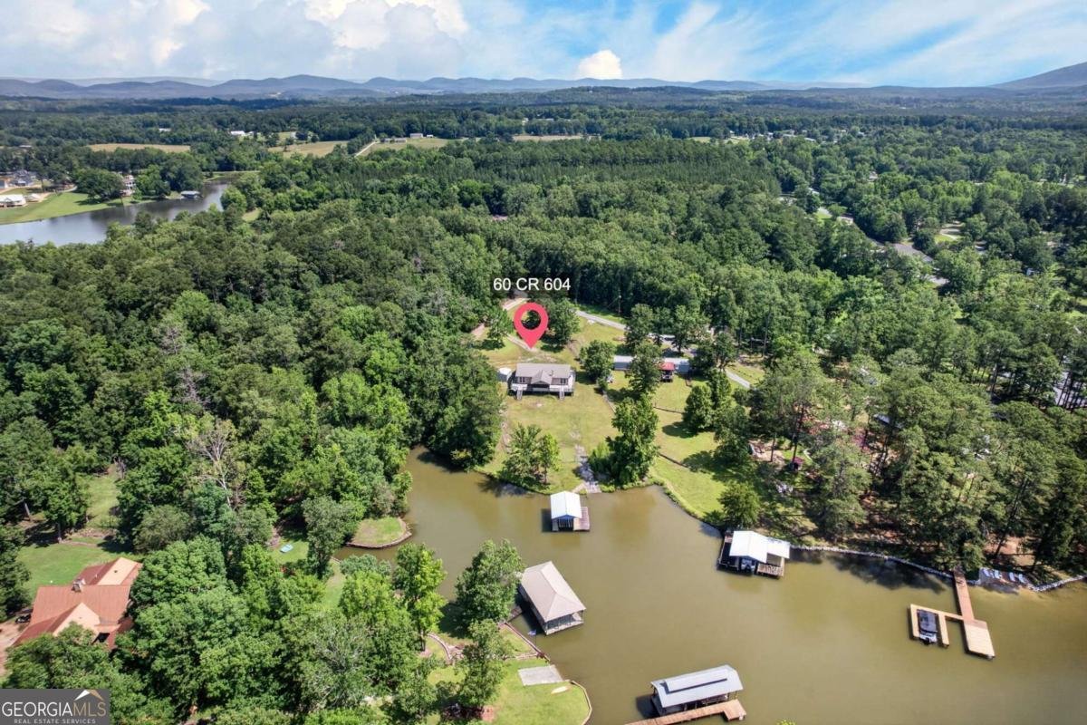 60 County Road 604 Cedar Bluff - Photo 34