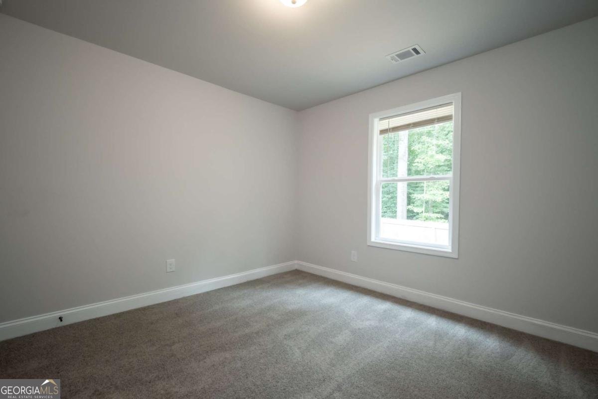 41 Southwood Drive Danielsville - Photo 31