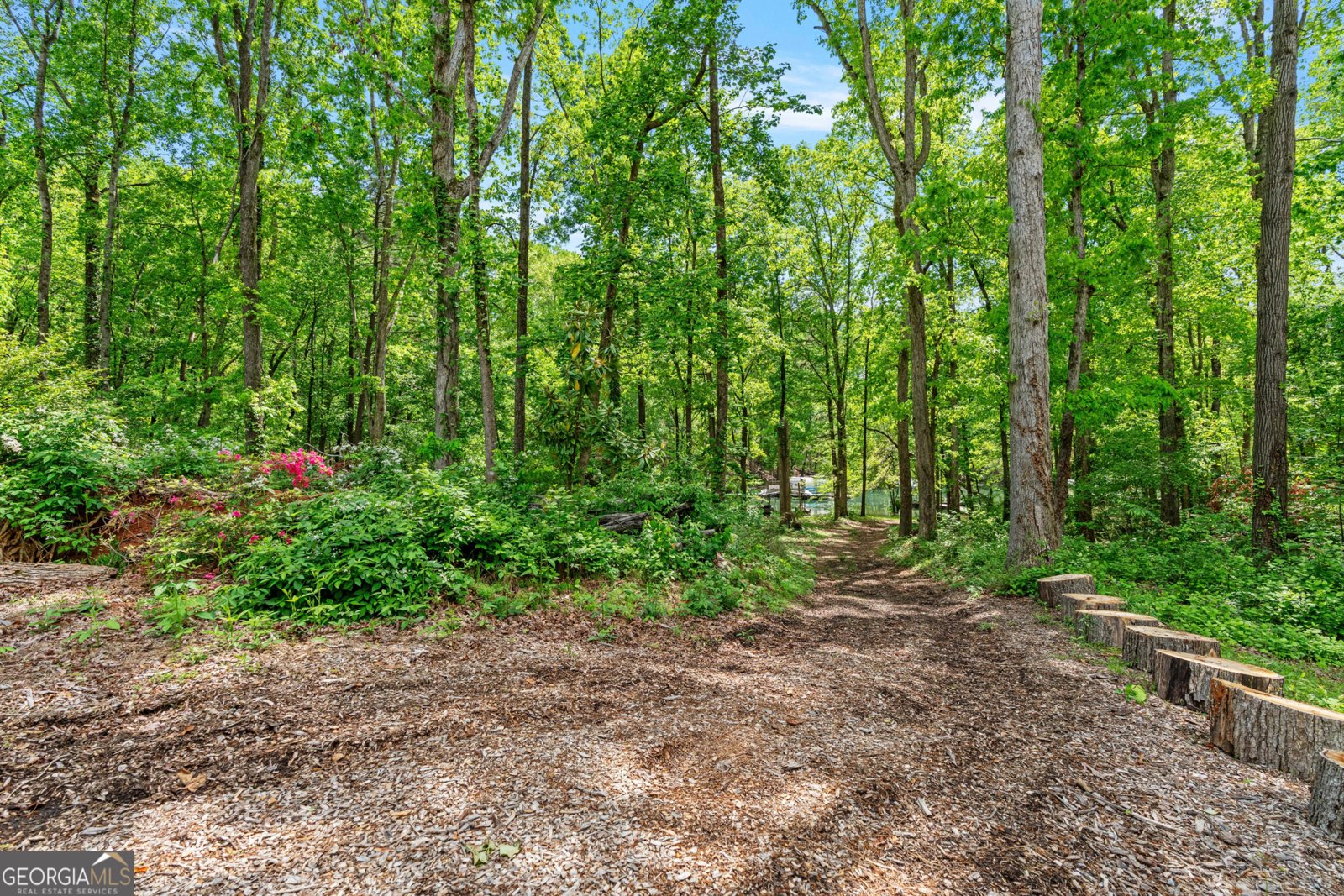 6265 Reives Road Cumming - Photo 52