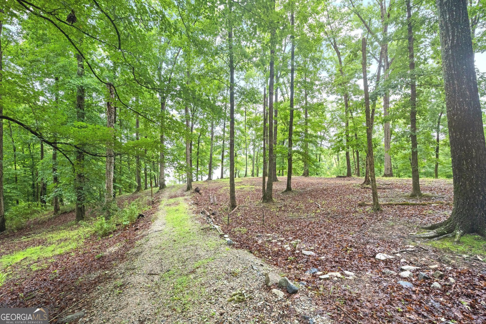 394 Ferrell Tatum Road Lagrange - Photo 7