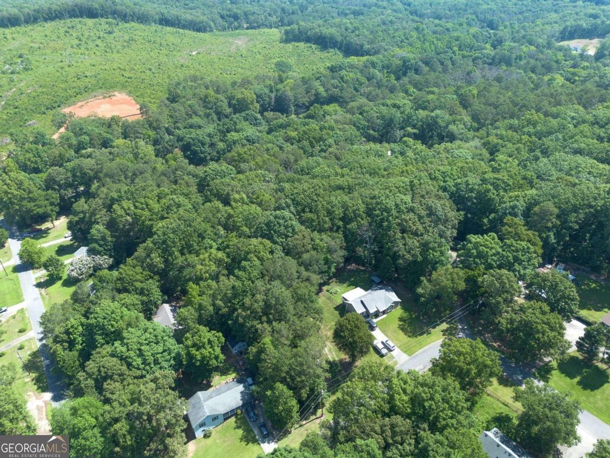 1217 Mission Road Cartersville - Photo 9