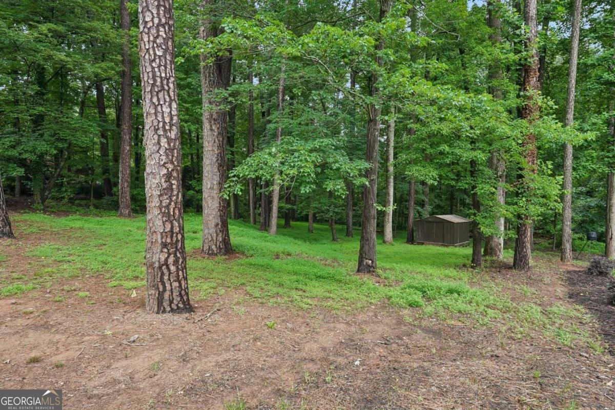 2125 Melrose Trace Cumming - Photo 56