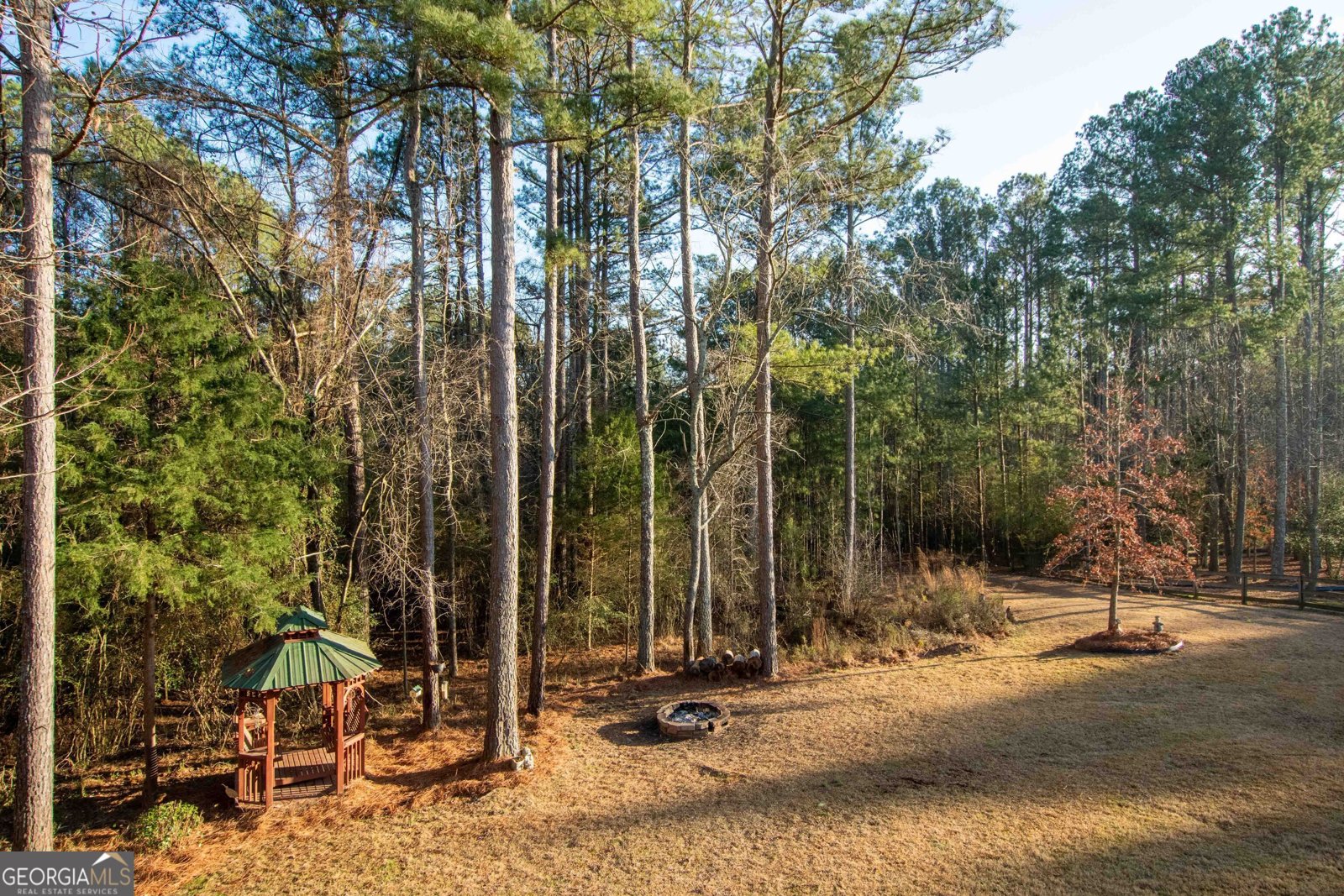 4218 Pine Hill Drive Loganville - Photo 30