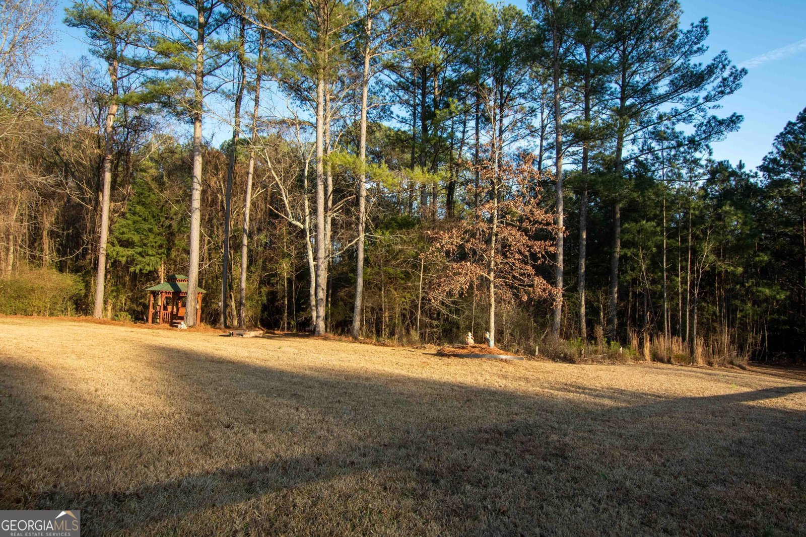 4218 Pine Hill Drive Loganville - Photo 31