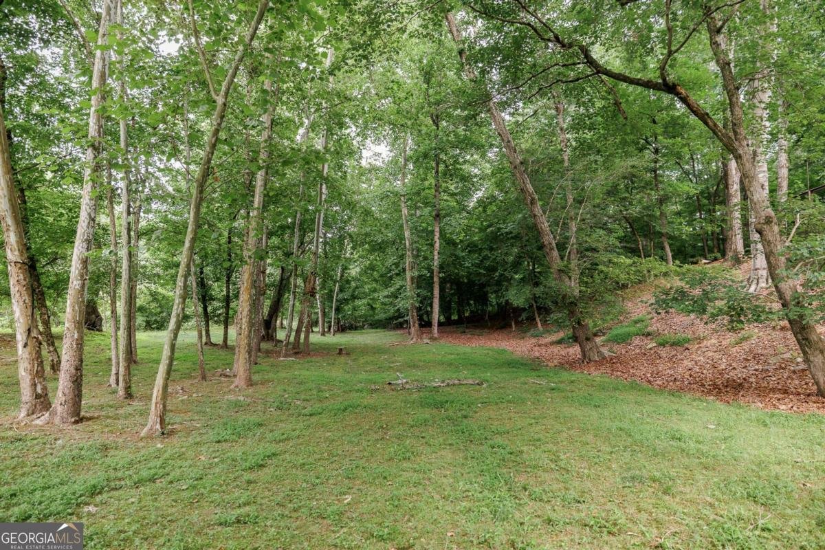 38 River Shoals Drive Athens - Photo 70