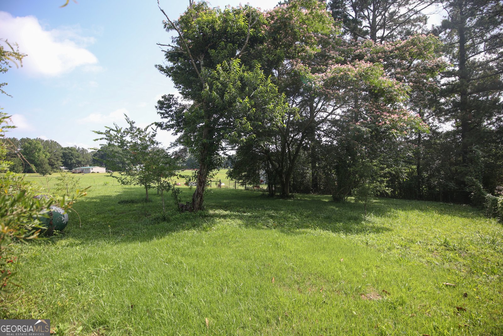 2818 Toms Creek Road Martin - Photo 30