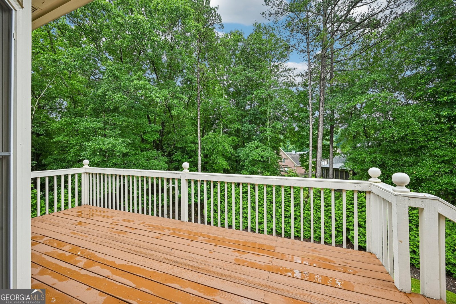 3923 Springtree Lane Hoschton - Photo 54