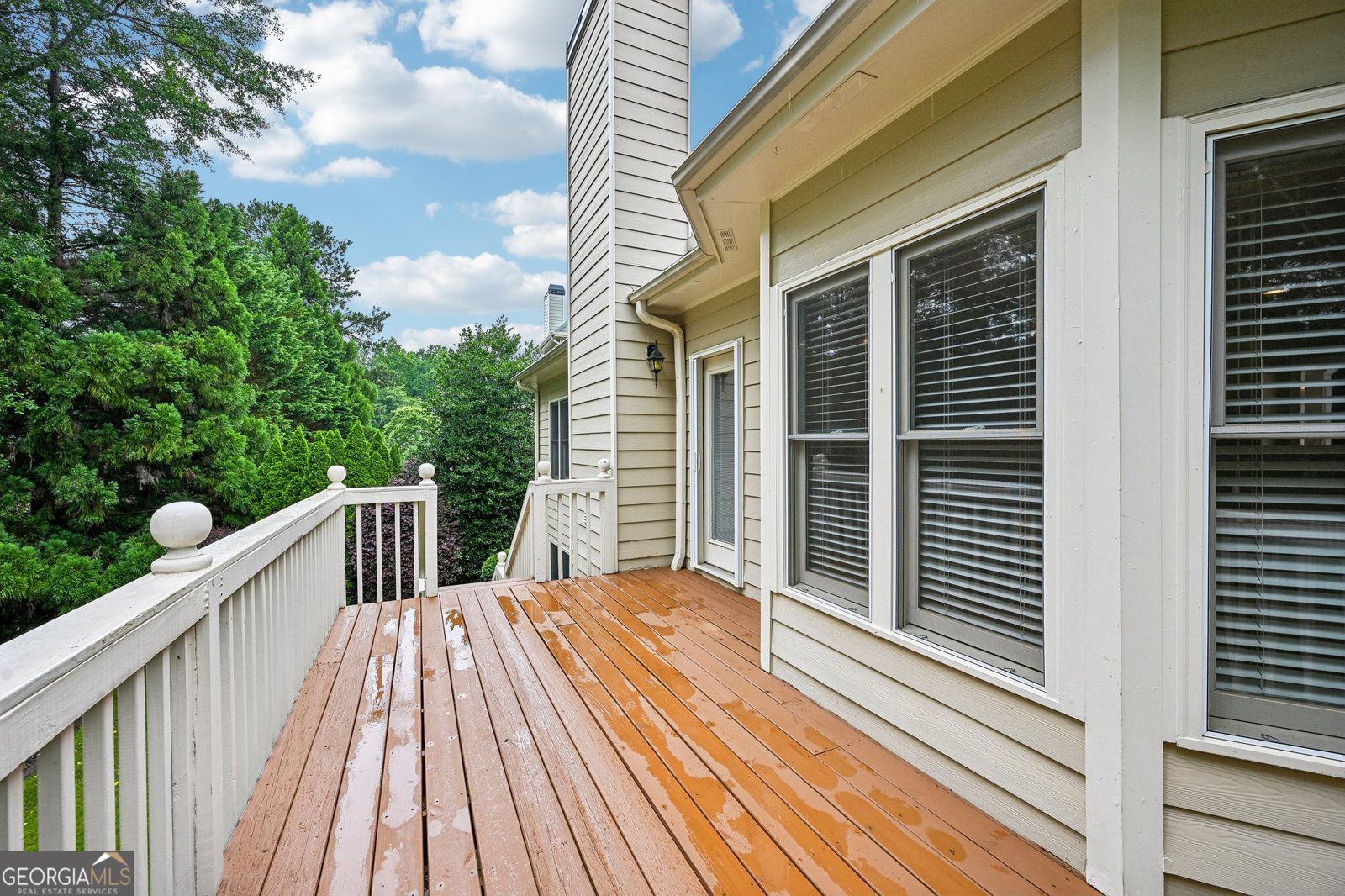 3923 Springtree Lane Hoschton - Photo 55