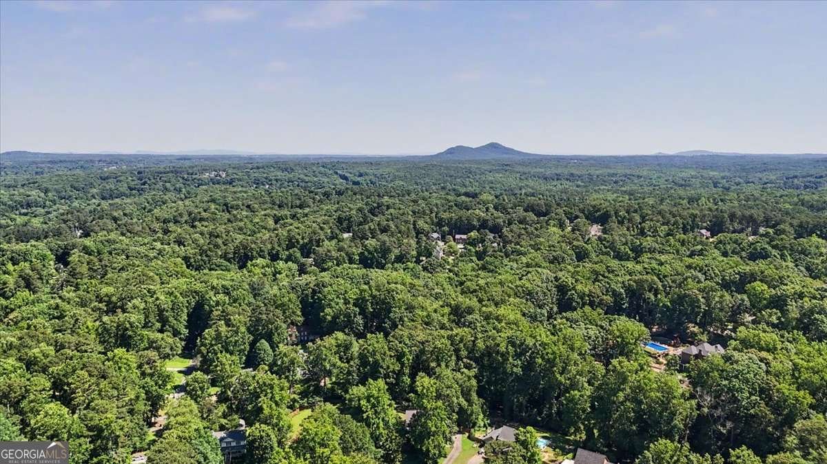 1919 Mceachern Manor Drive Marietta - Photo 53