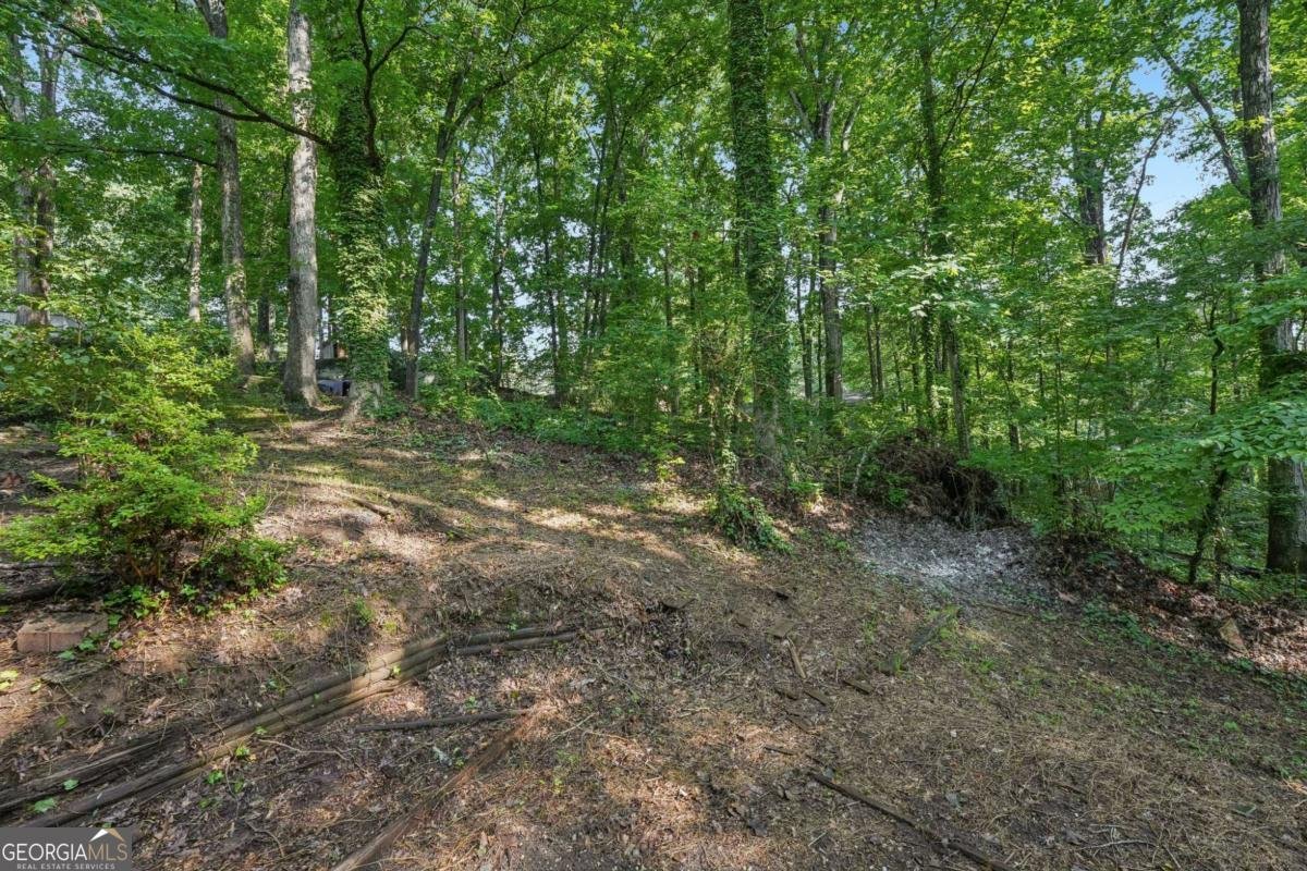 3833 Cindy Drive Douglasville - Photo 27
