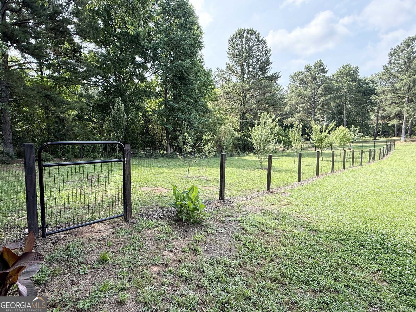 313 Anderson Road Griffin - Photo 10