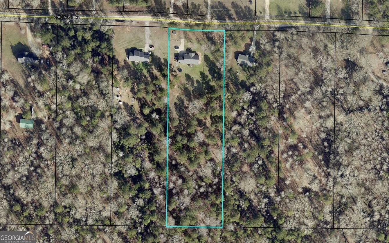 313 Anderson Road Griffin - Photo 50