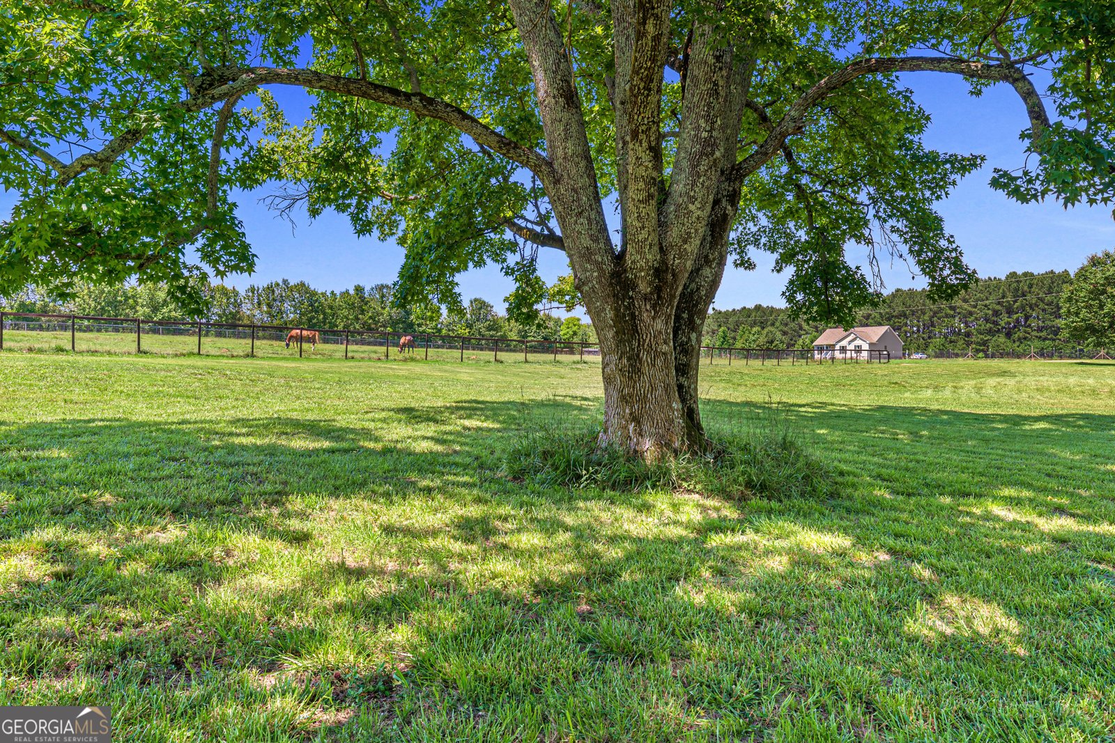 895 Fairplay Drive Social Circle - Photo 39