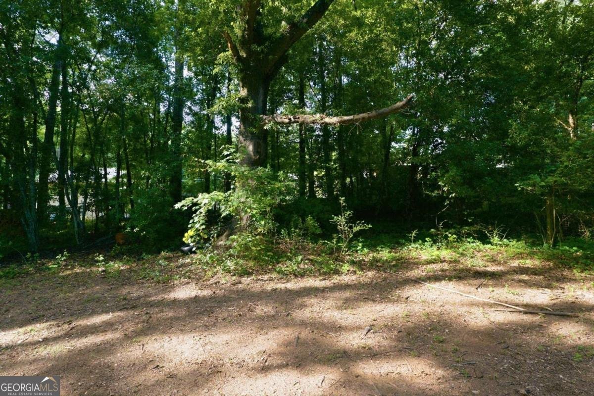 5900 Dart Drive Lithonia - Photo 23