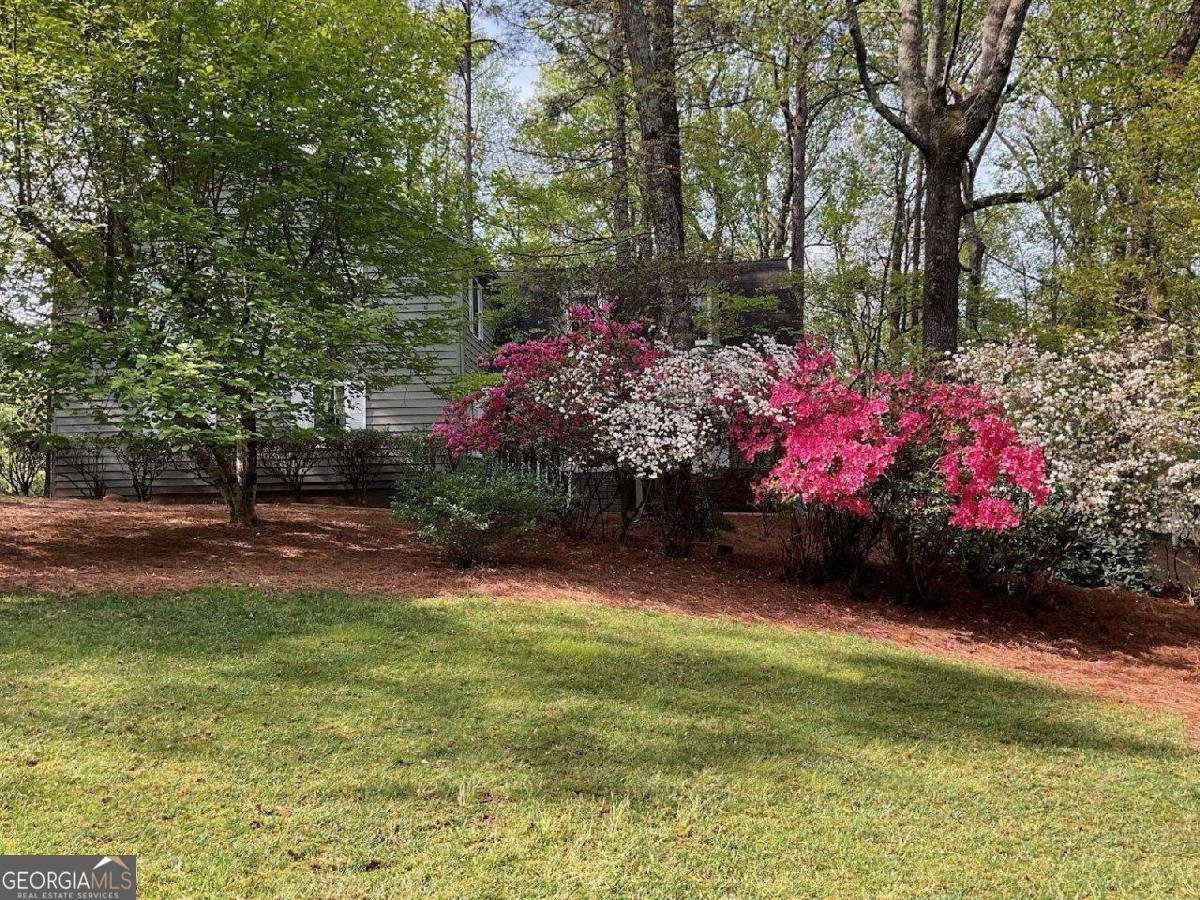 2205 Six Branches Drive Roswell - Photo 63