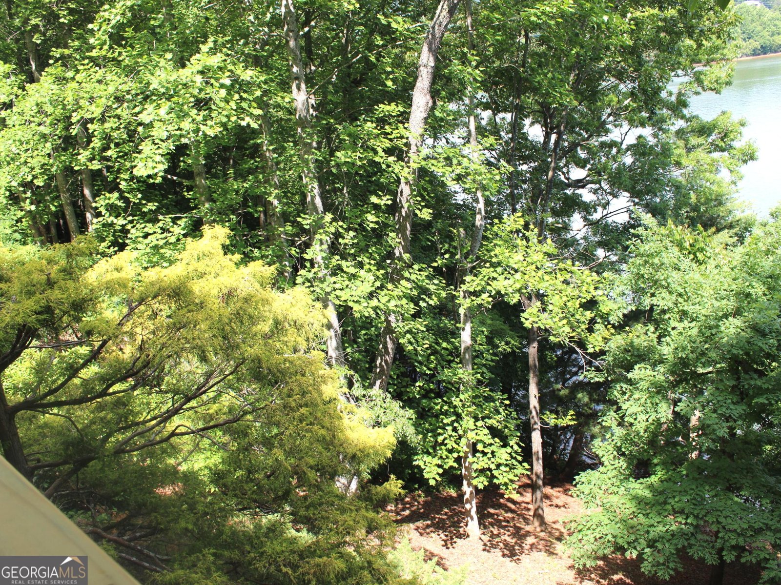 772 Big Oak Lane Hiawassee - Photo 40