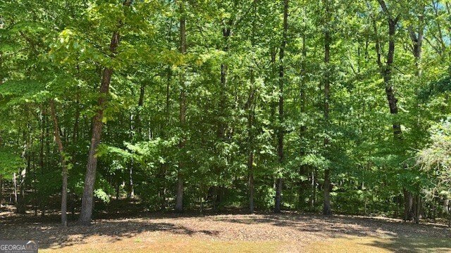 7032 Camp Falls Court Winston - Photo 38