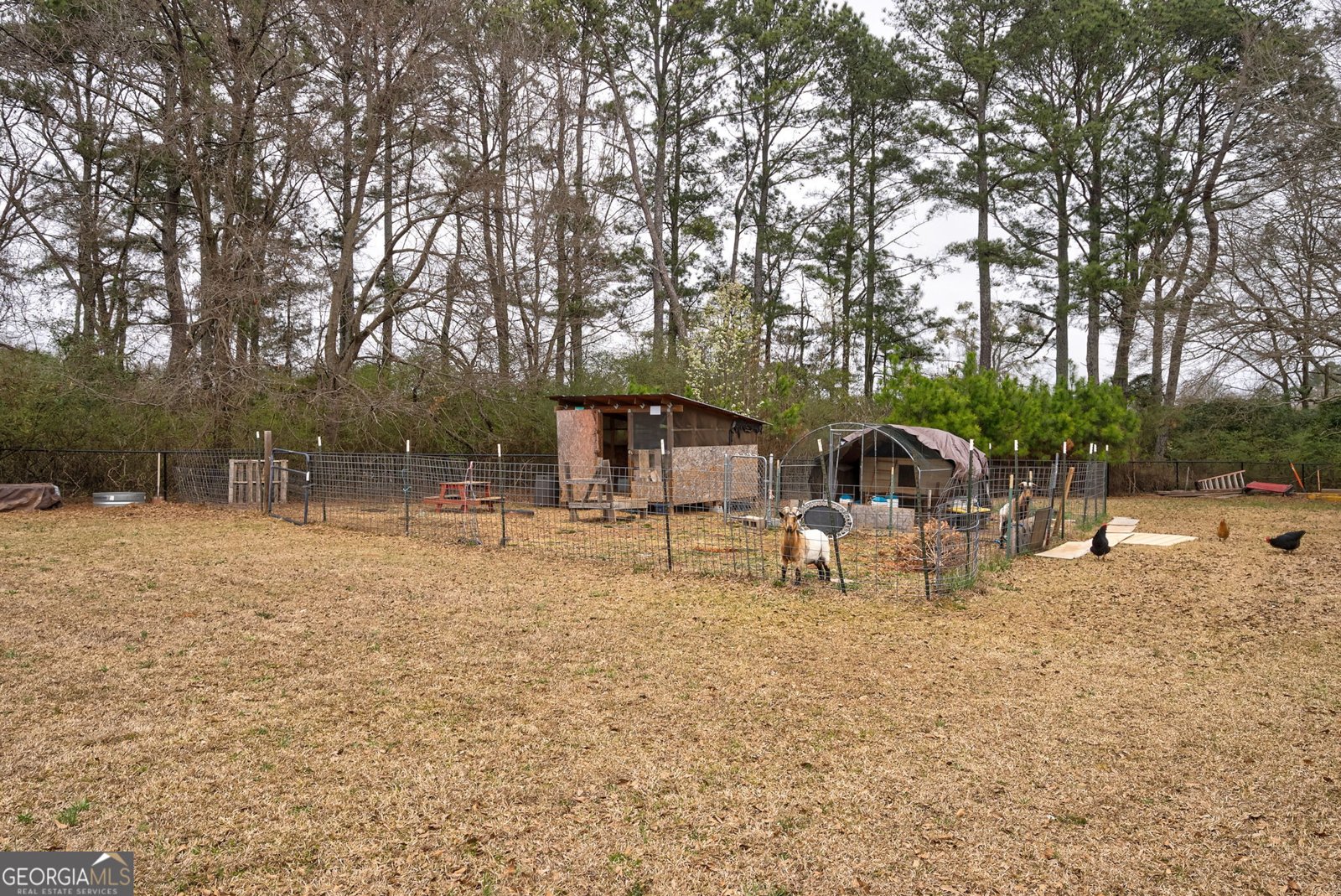 2219 Greensboro Highway Watkinsville - Photo 37
