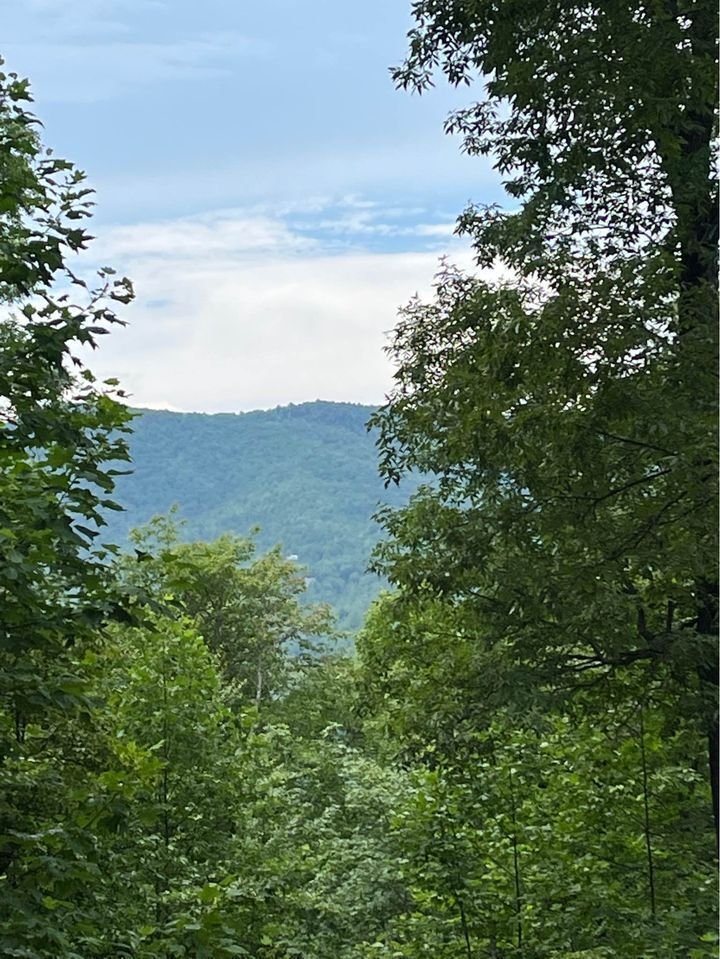 92 Boulder Lane Rabun Gap - Photo 42
