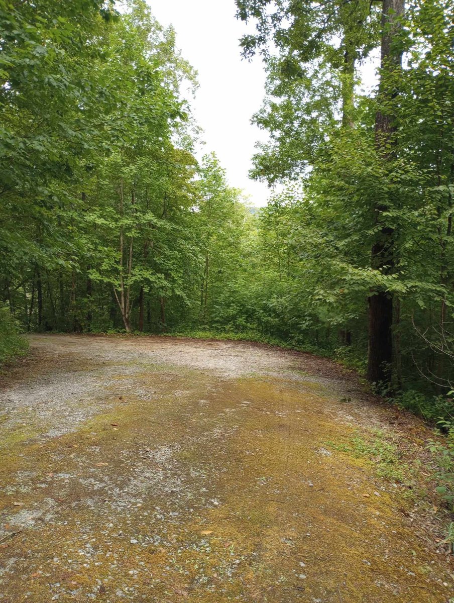 92 Boulder Lane Rabun Gap - Photo 43