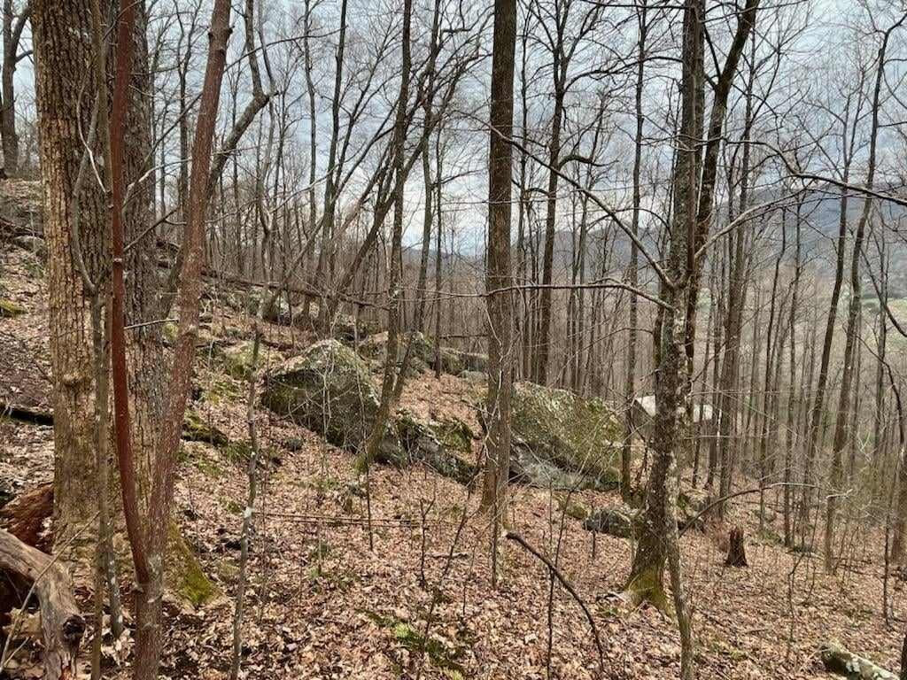 92 Boulder Lane Rabun Gap - Photo 47