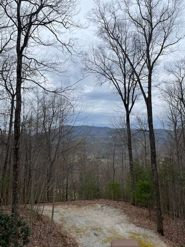 92 Boulder Lane Rabun Gap - Photo 49