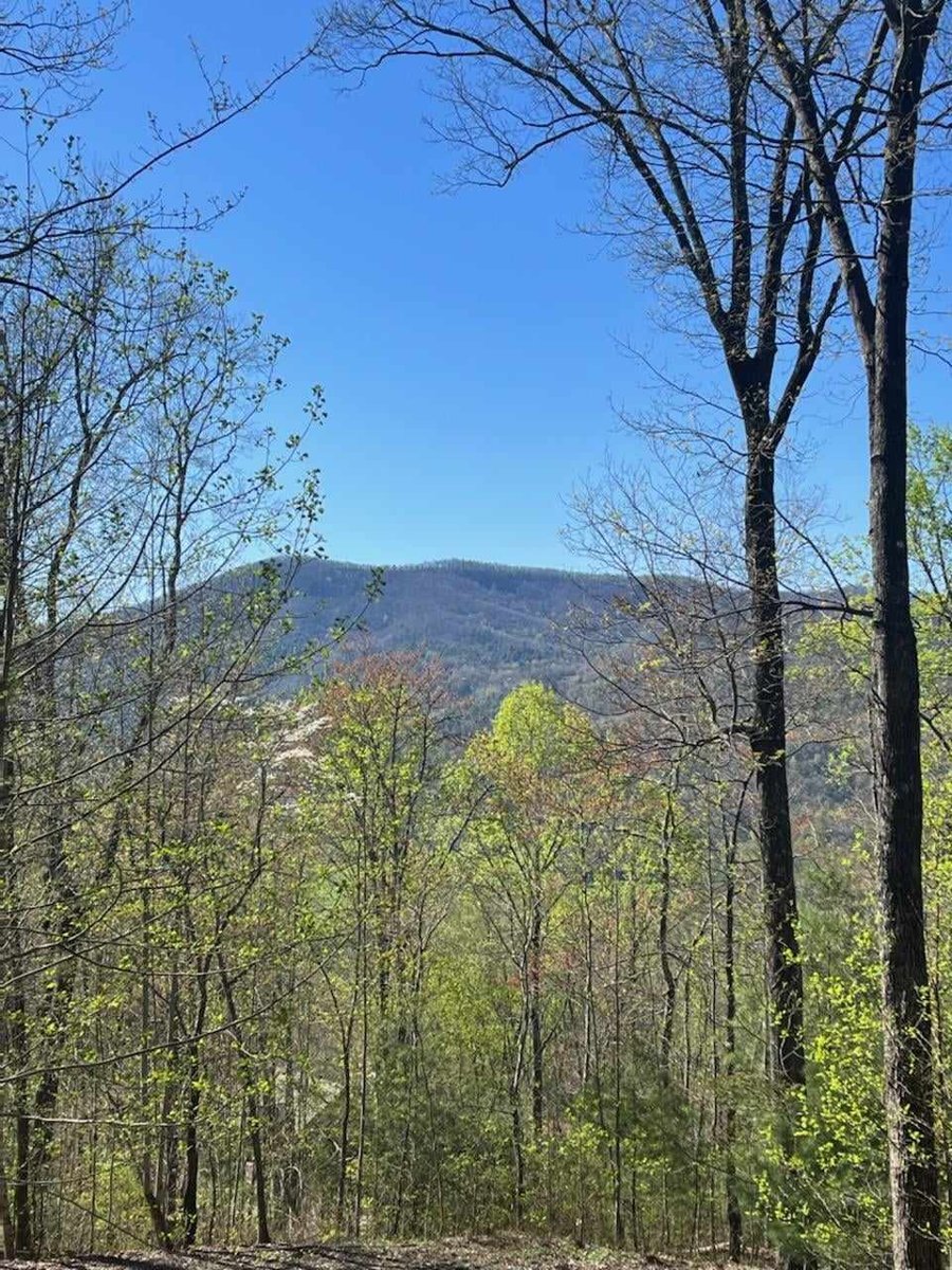 92 Boulder Lane Rabun Gap - Photo 50