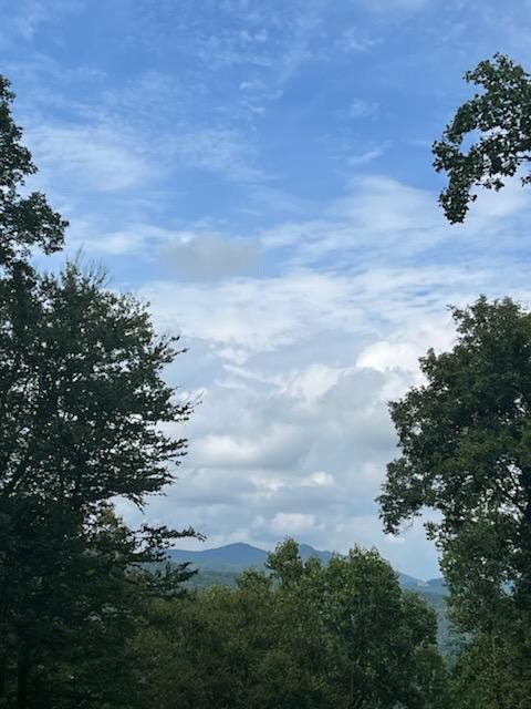 92 Boulder Lane Rabun Gap - Photo 52