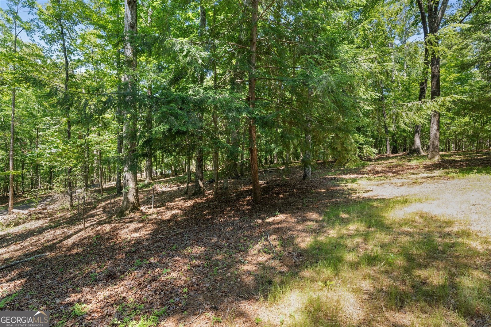 7448 Berea Road Winston - Photo 64
