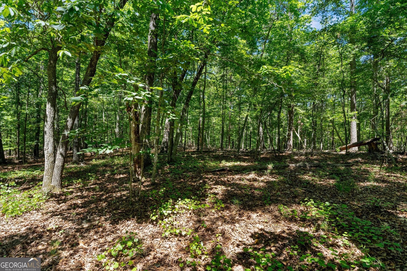 7448 Berea Road Winston - Photo 65