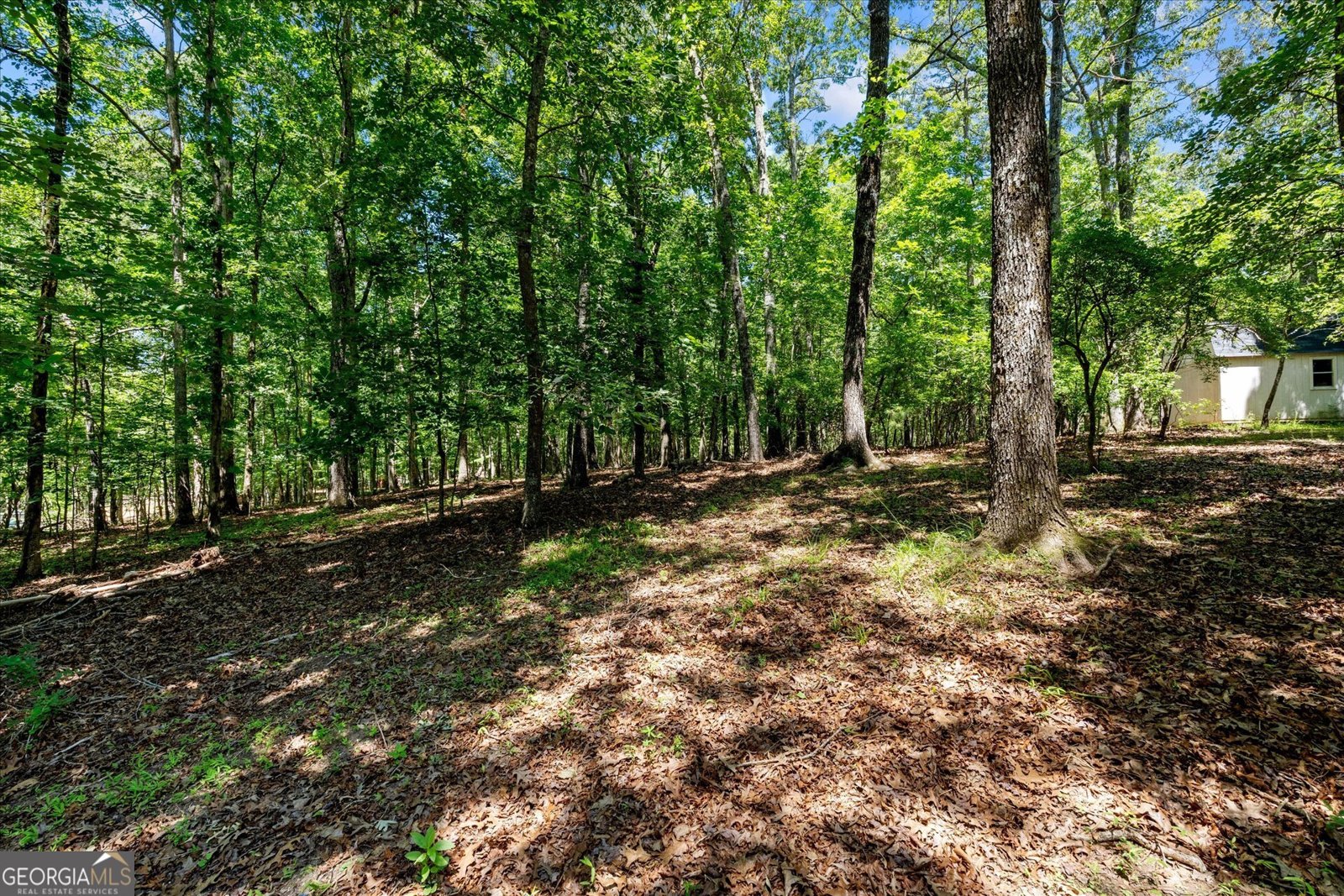 7448 Berea Road Winston - Photo 69