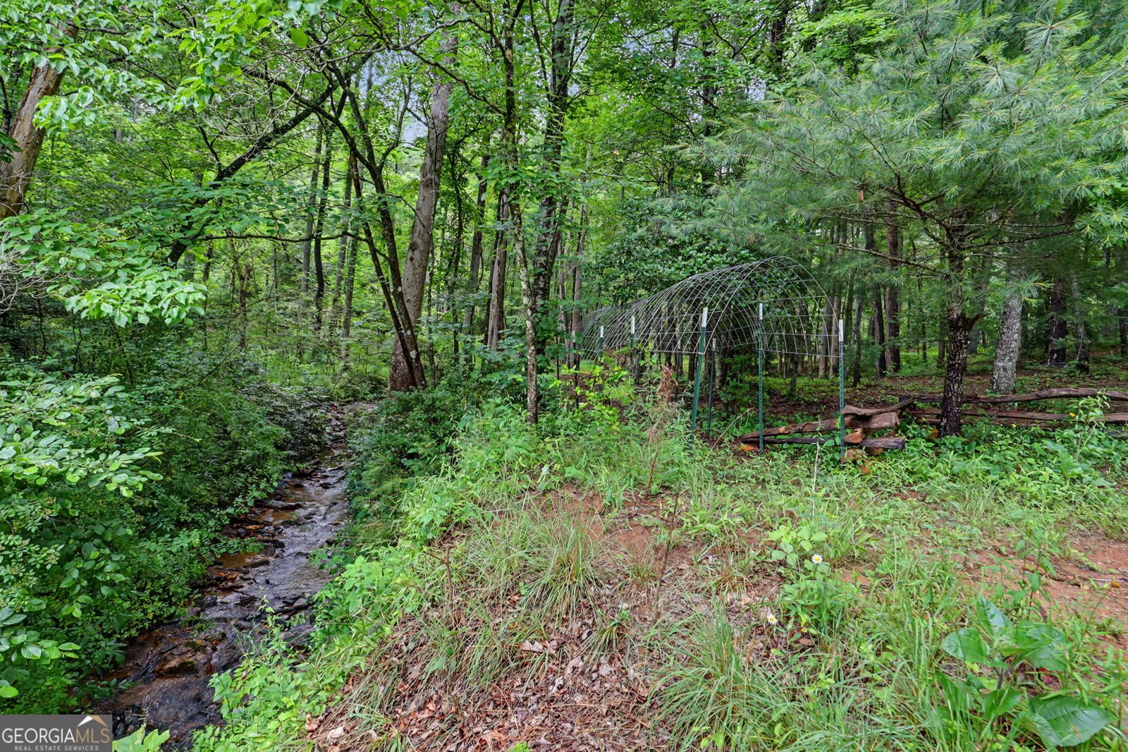 5637 Murray Cove Road Tiger - Photo 53