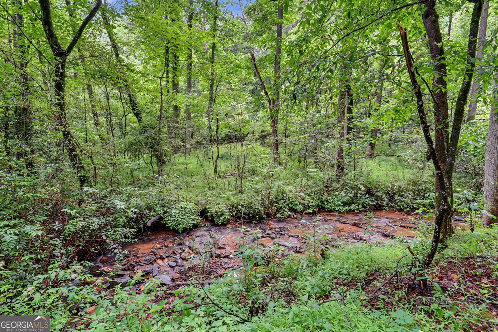 5637 Murray Cove Road Tiger - Photo 54