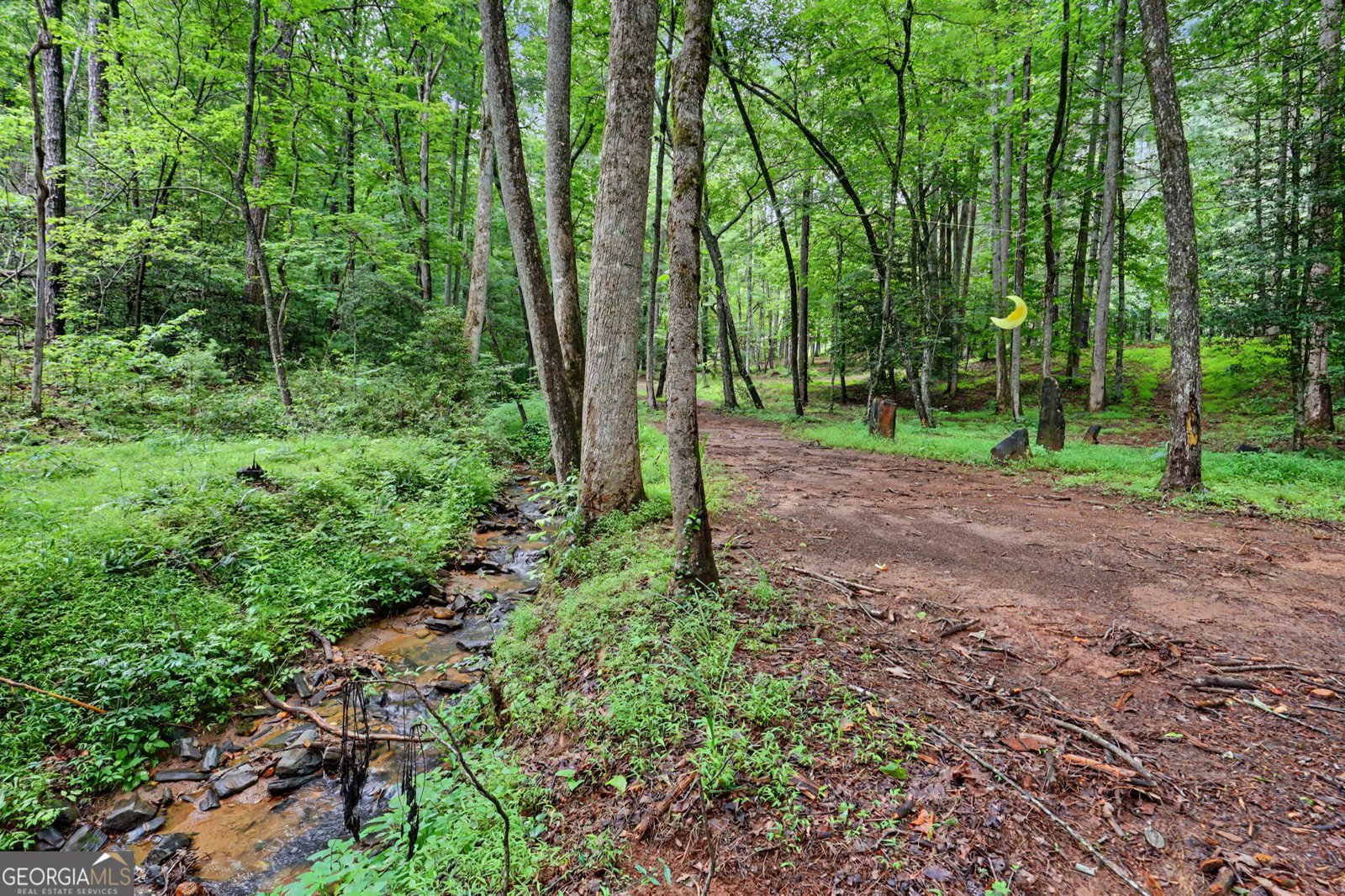 5637 Murray Cove Road Tiger - Photo 55