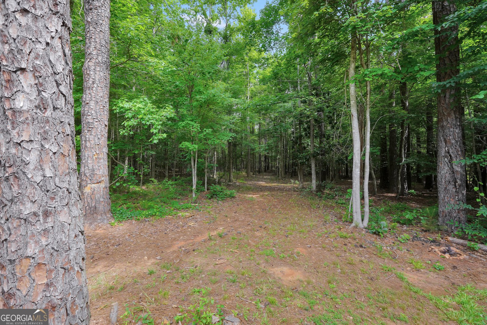 1577 Stark Road Jackson - Photo 48