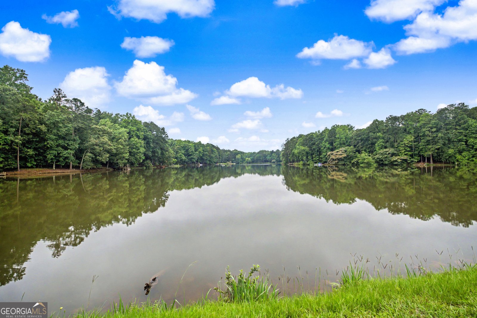 345 Lake Coweta Trail Newnan - Photo 28