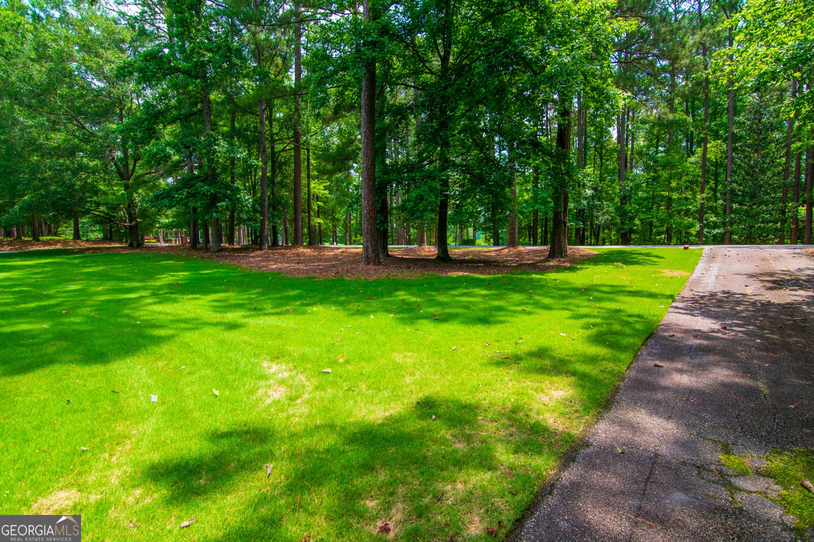 890 Piedmont Lake Road Pine Mountain - Photo 38
