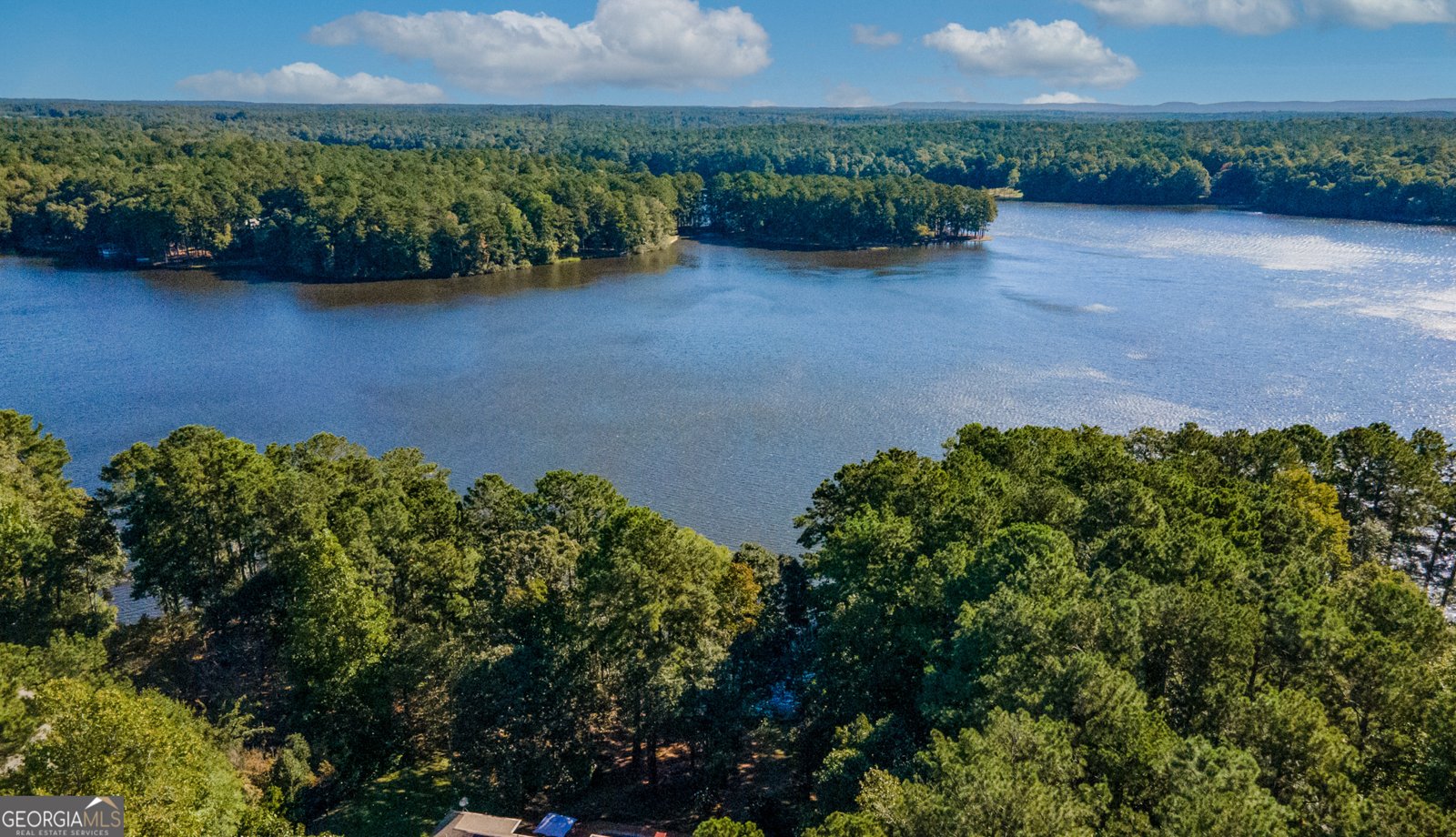 890 Piedmont Lake Road Pine Mountain - Photo 45