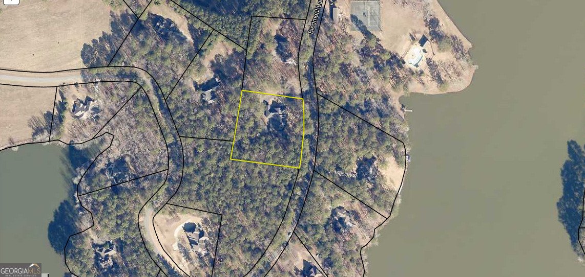 890 Piedmont Lake Road Pine Mountain - Photo 46