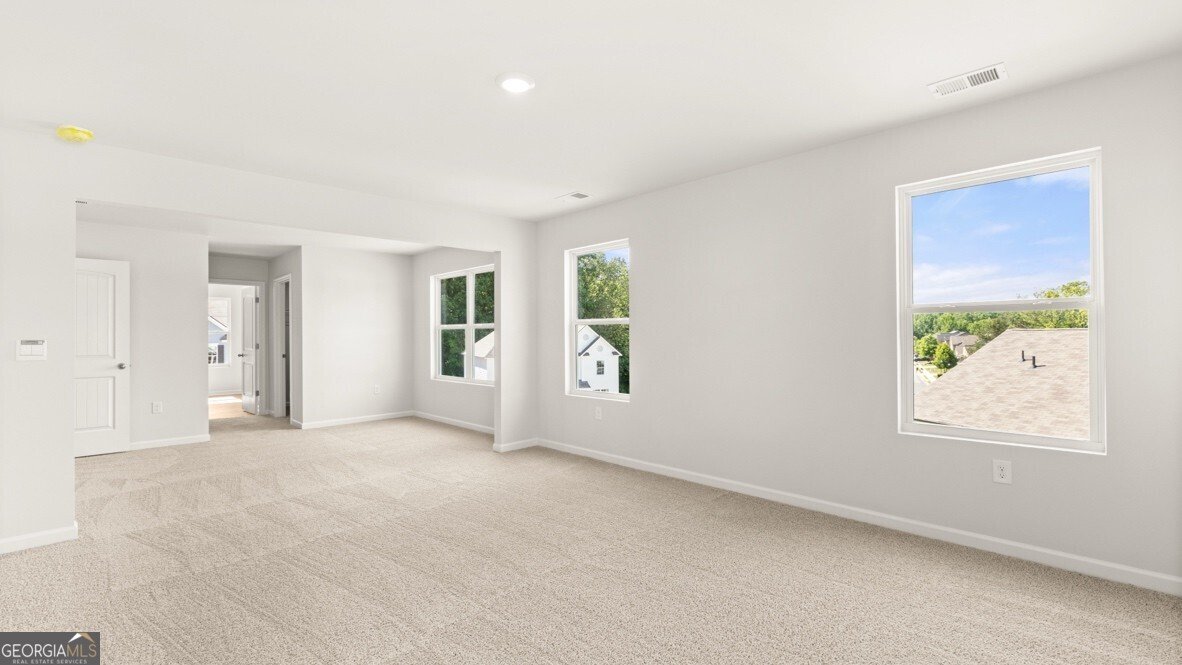28 Capital Court Braselton - Photo 18
