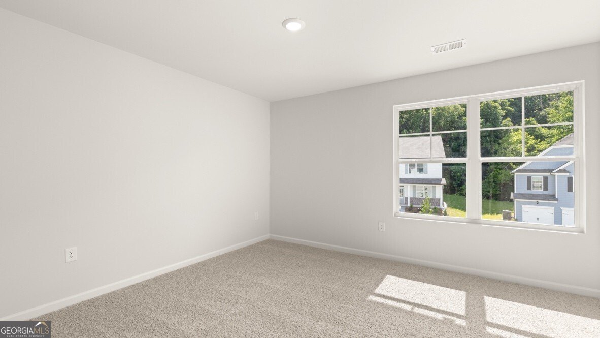 28 Capital Court Braselton - Photo 25