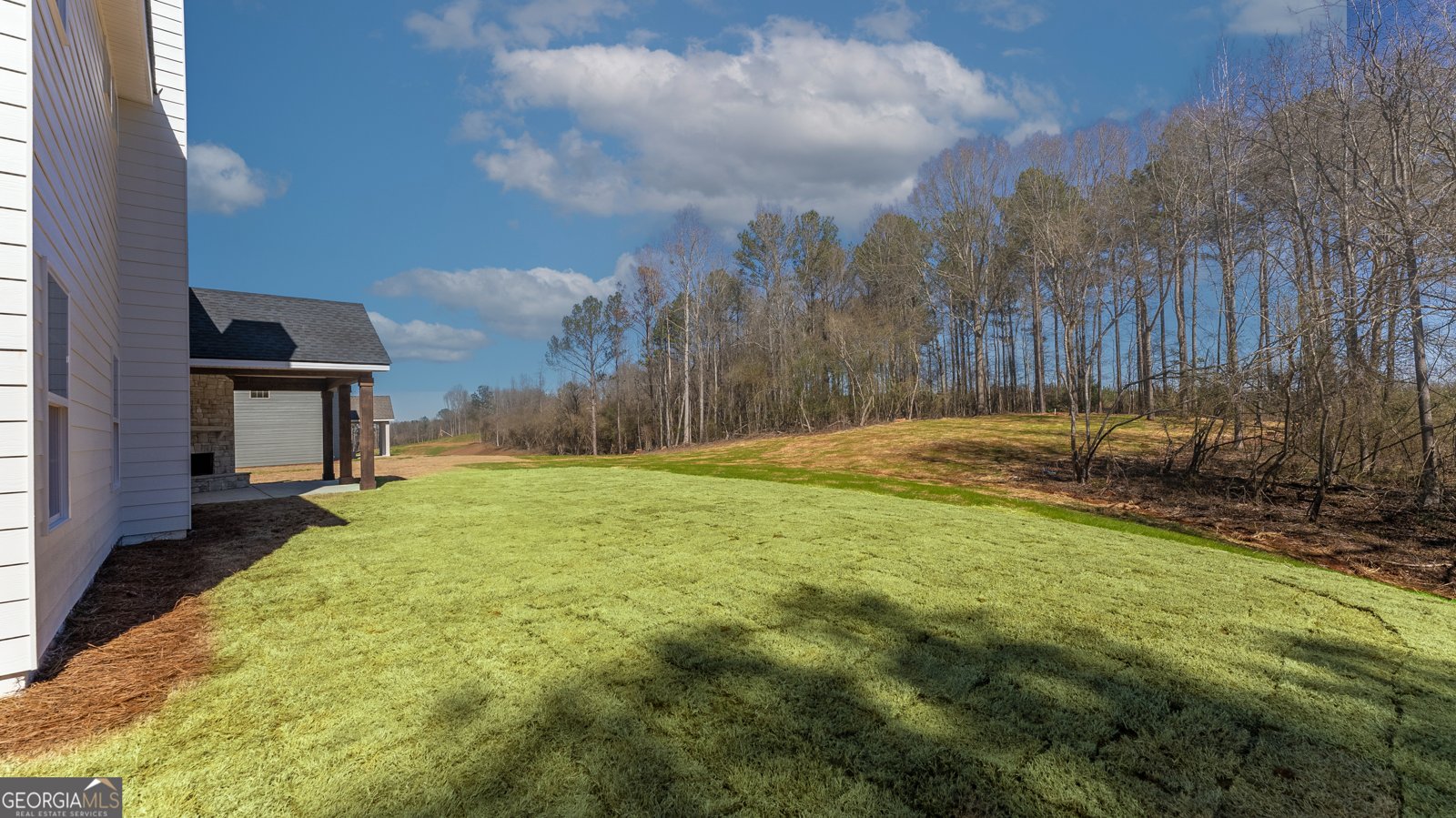 515 Bohannon Road Grantville - Photo 23