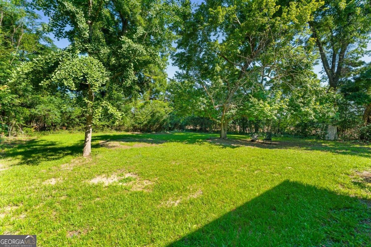 8075 Lakeview Road Statesboro - Photo 83