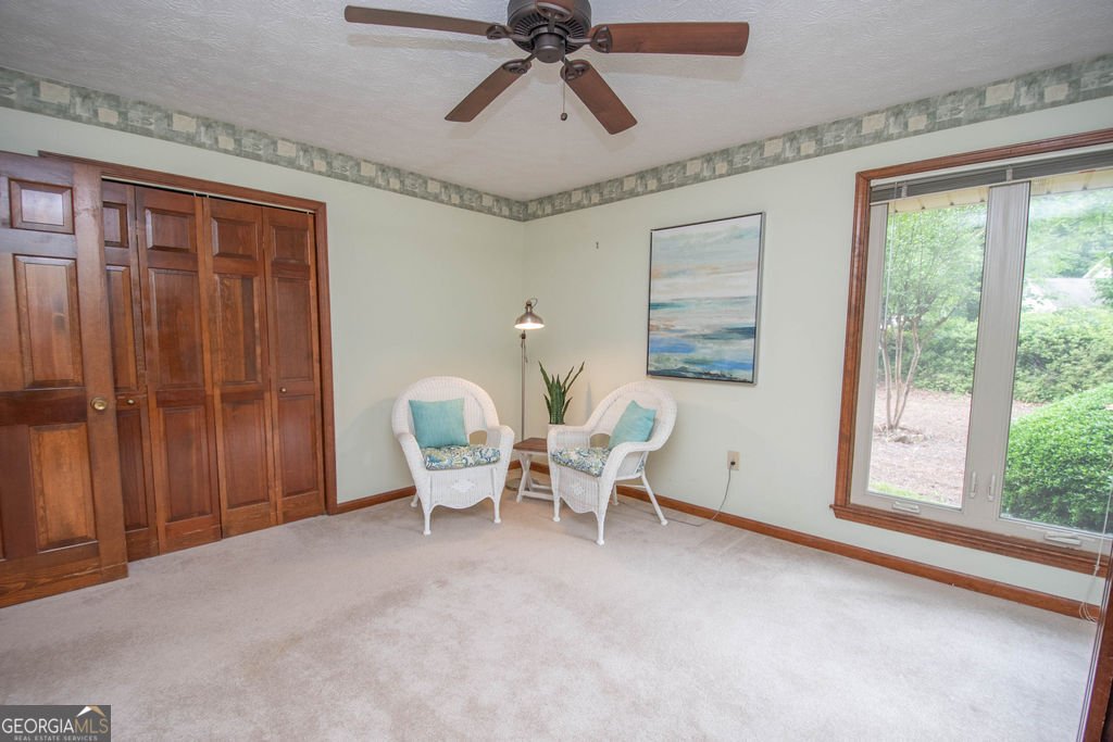 323 Larkspur Turn Peachtree City - Photo 29