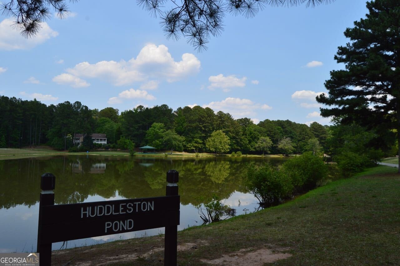 323 Larkspur Turn Peachtree City - Photo 41