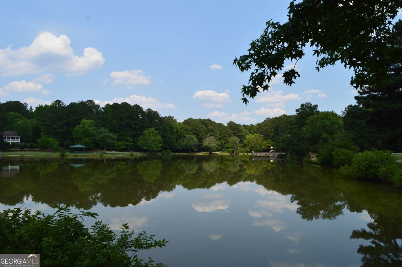 323 Larkspur Turn Peachtree City - Photo 42