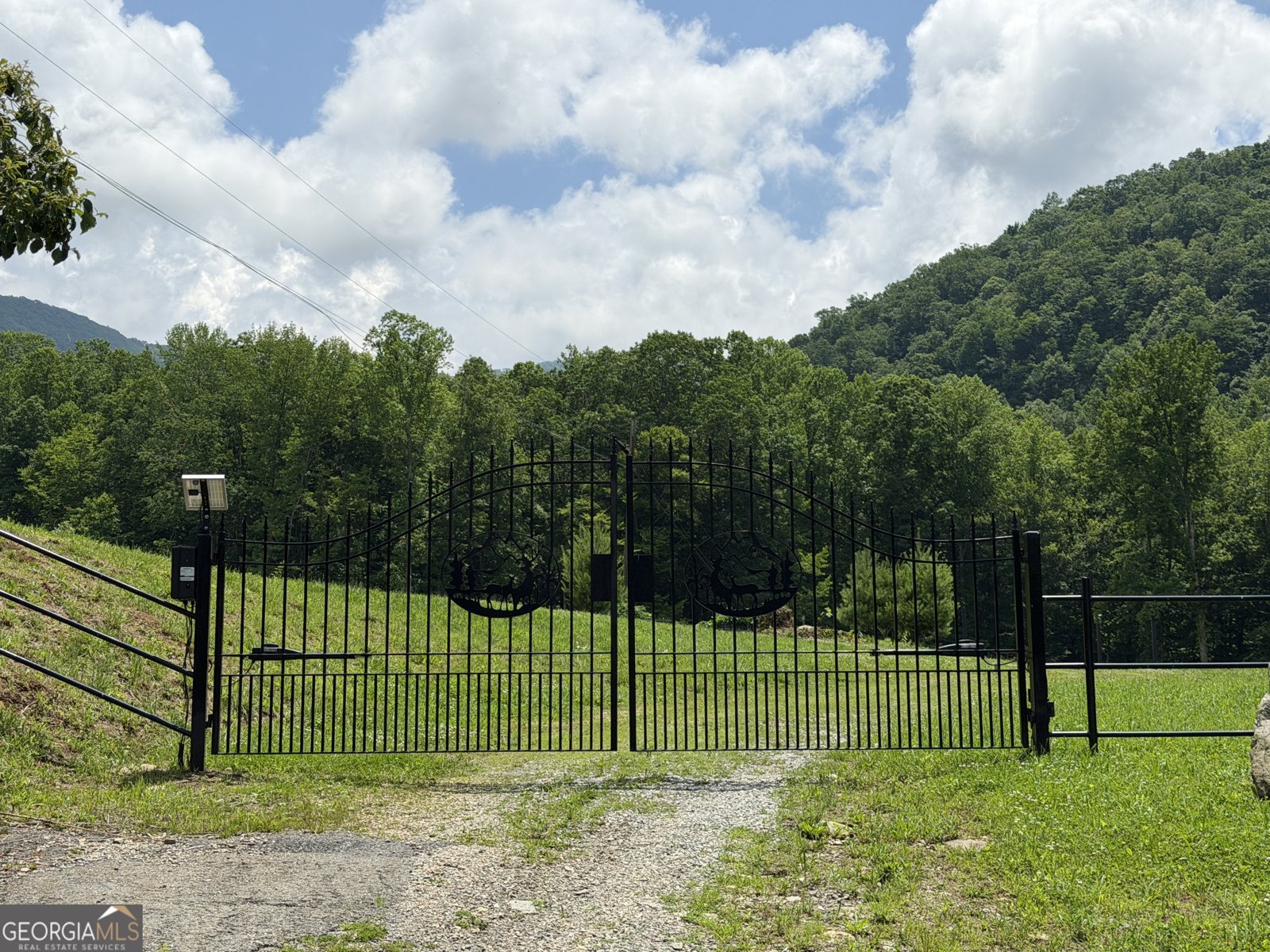 1449 Muskrat Creek Road Hayesville - Photo 100